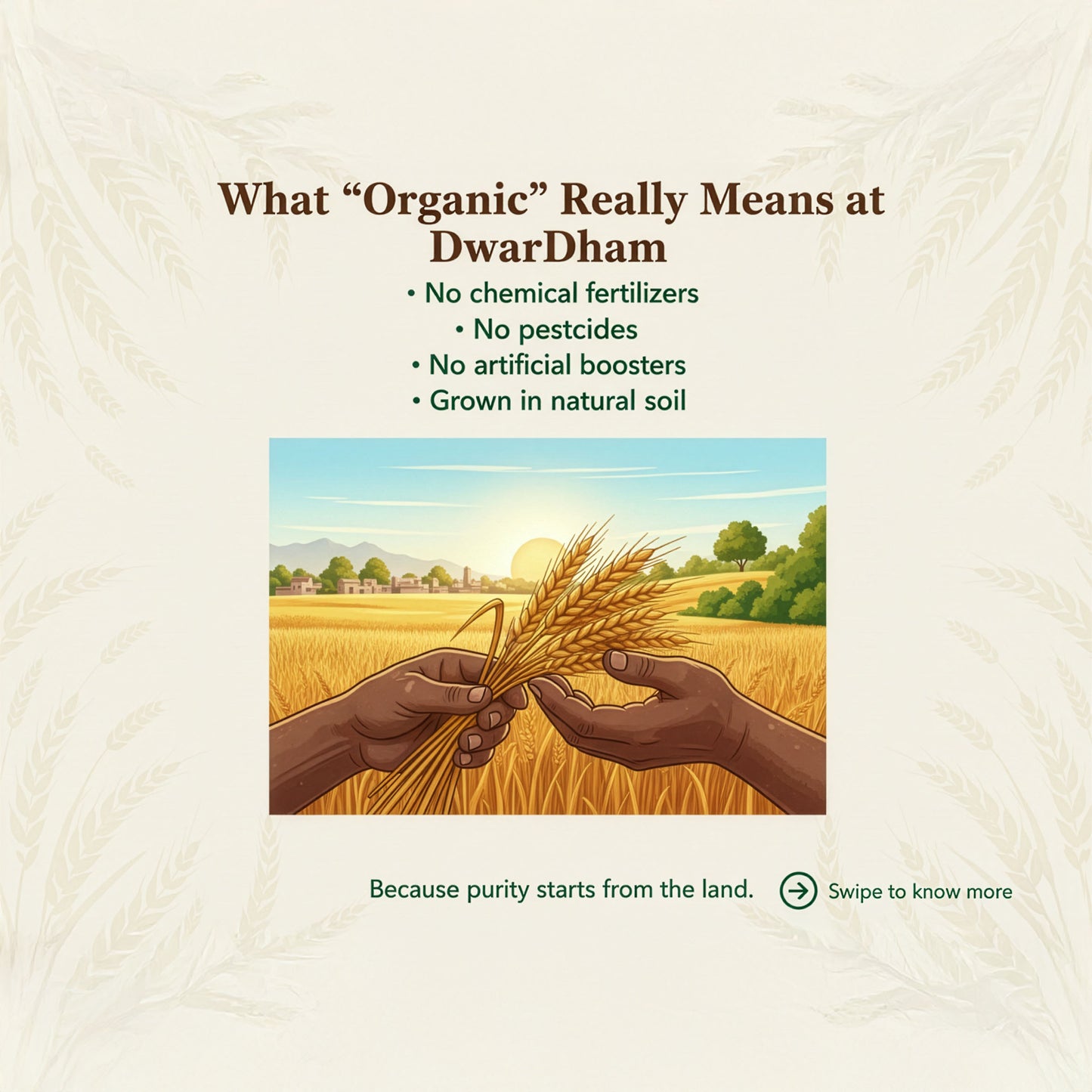 Organic Whole Wheat Atta
